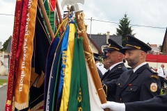 P6040477-001