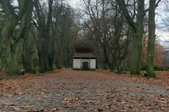 IMG_20201119_113005-001